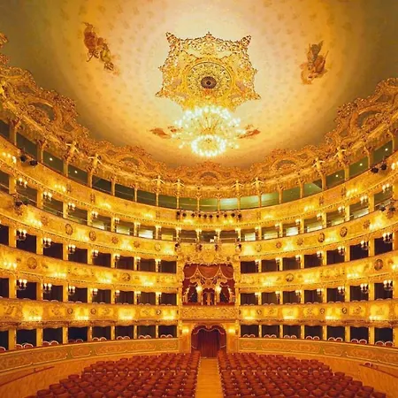 Wellvenice Fenice