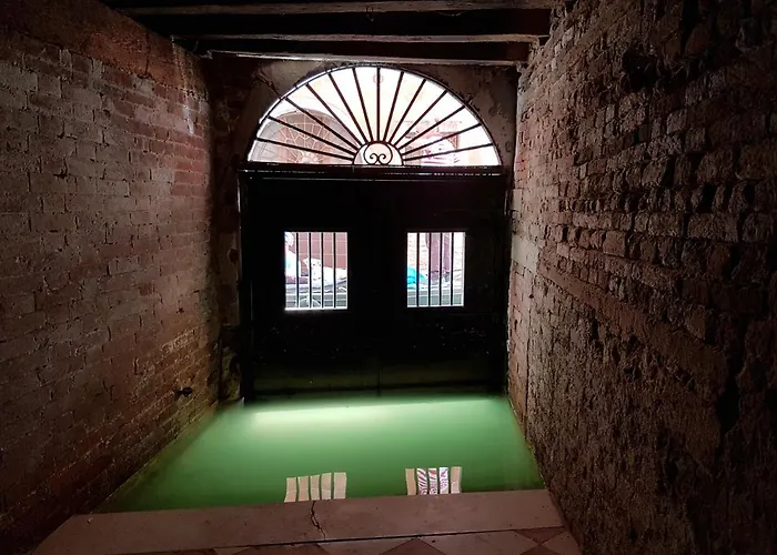 Wellvenice Fenice *